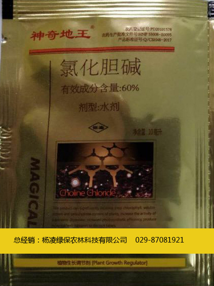 KKooa(chn)-----